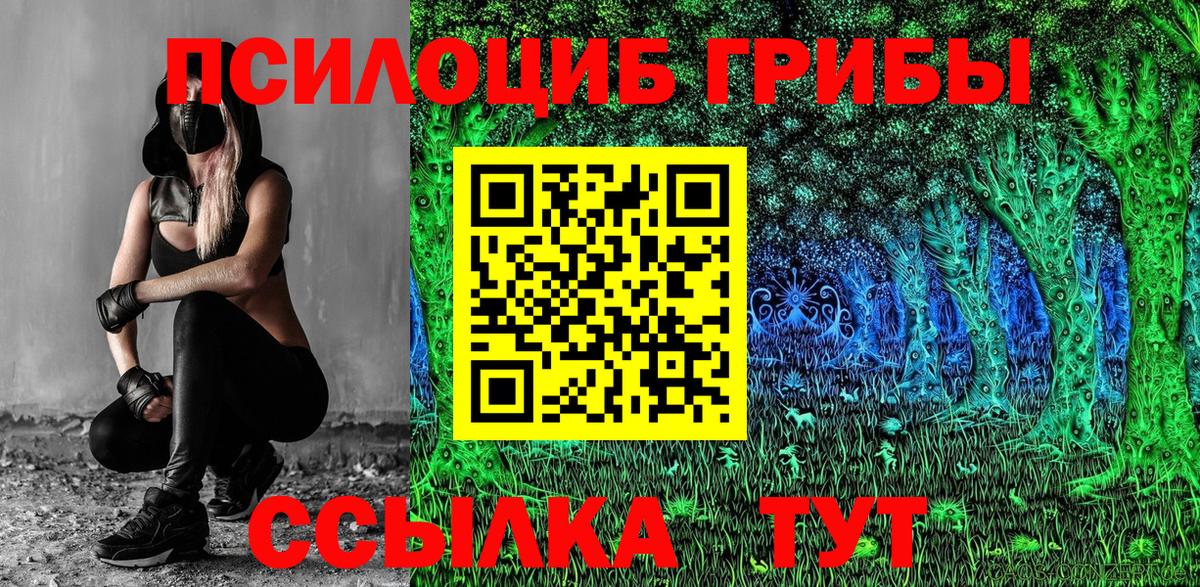Галлюциногенные грибы MAGIC MUSHROOMS  наркошоп  Сланцы  Вход с VPN 